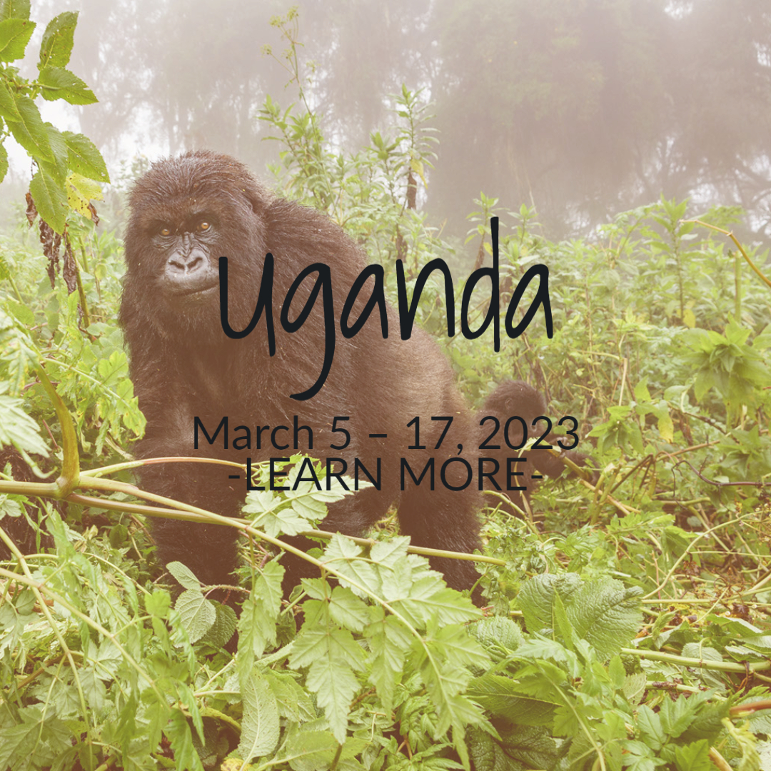 Uganda - March 5-17, 2023