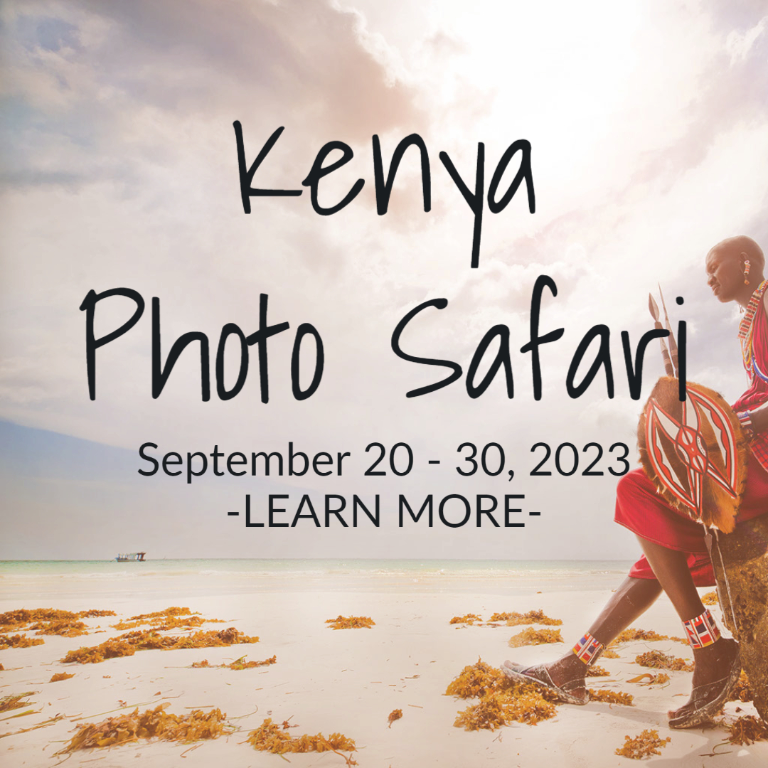 Kenya Photo Safari - Co-Hosted by Art of Intuitive Photography September 21 – October 1, 2023